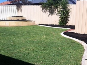 Exact Landscaping Perth Real Grass